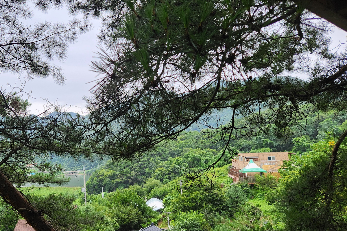 제목-없음-3