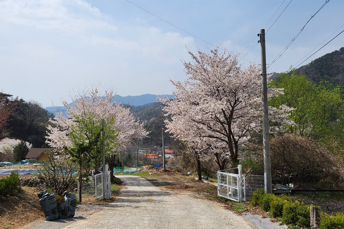 제목-없음-1