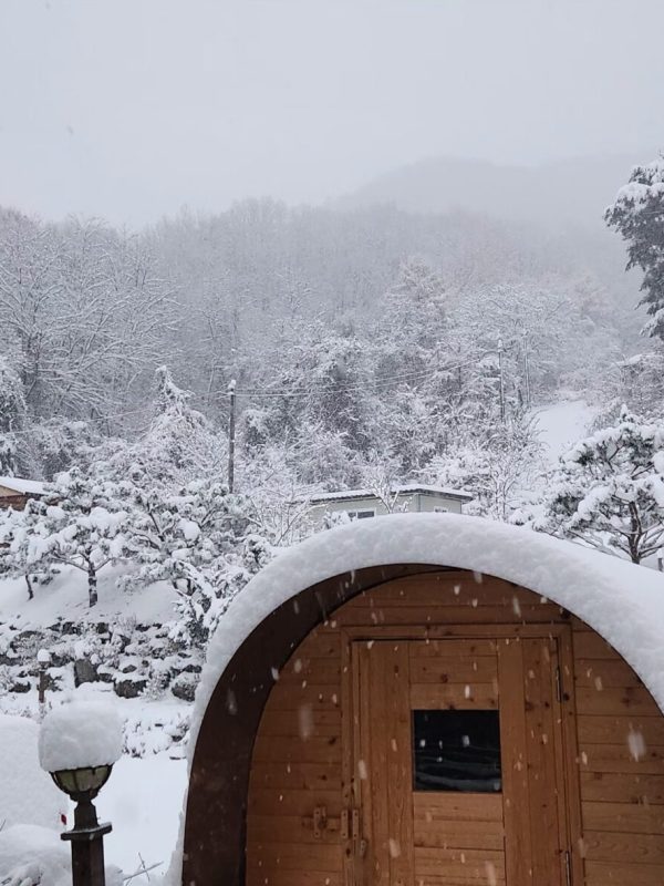 KakaoTalk_20250316_172241446_02